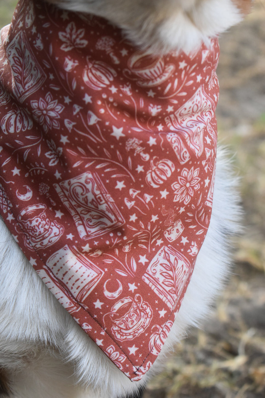 Witches Brew Pet Bandana