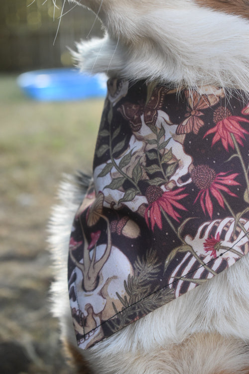 Enchanted Boneyard Pet Bandana
