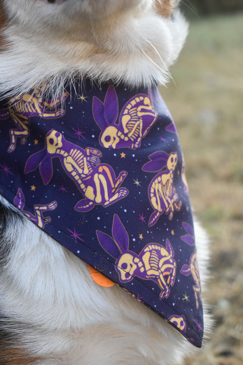 Hexed Hare Pet Bandana