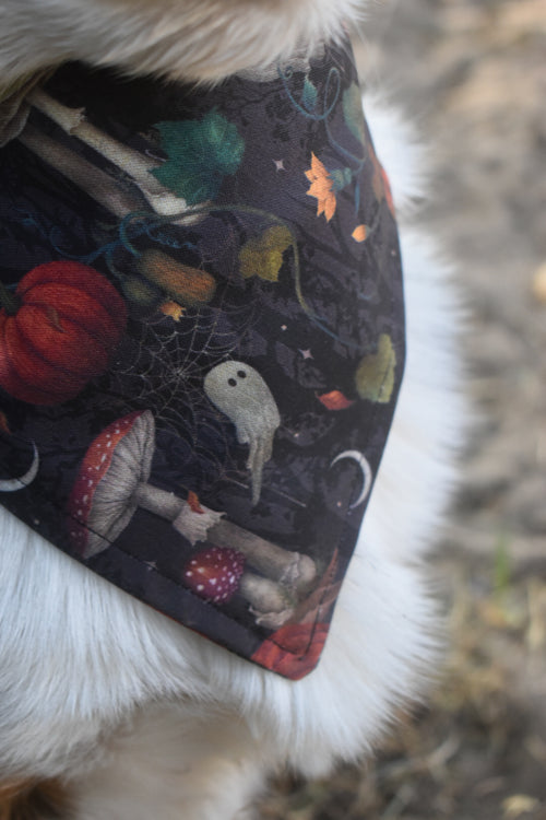 Haunted Harvest Pet Bandana