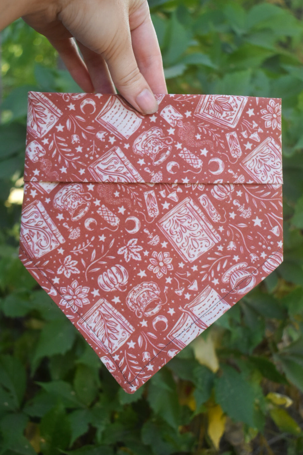 Witches Brew Pet Bandana