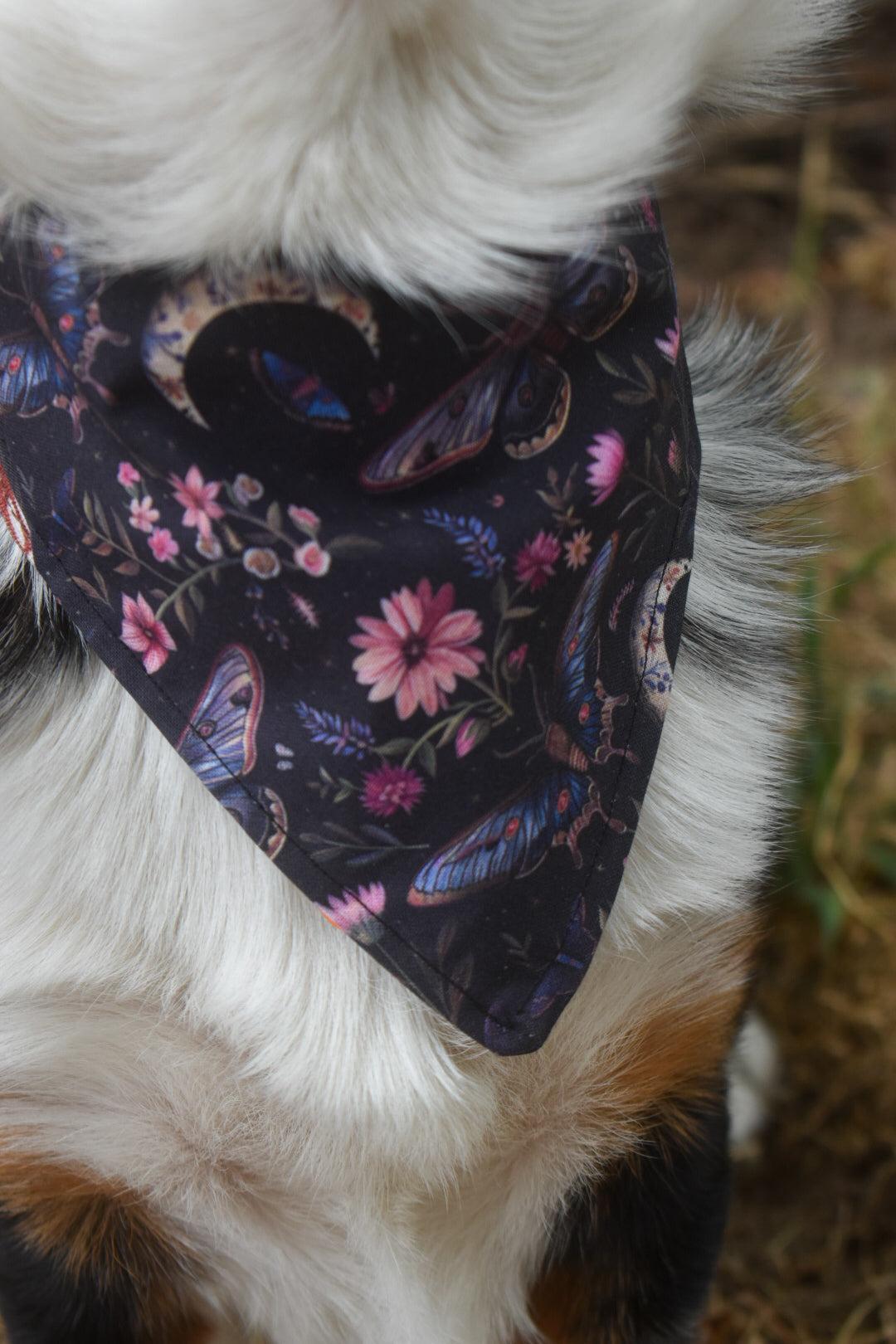 Midnight Bloom Pet Bandana