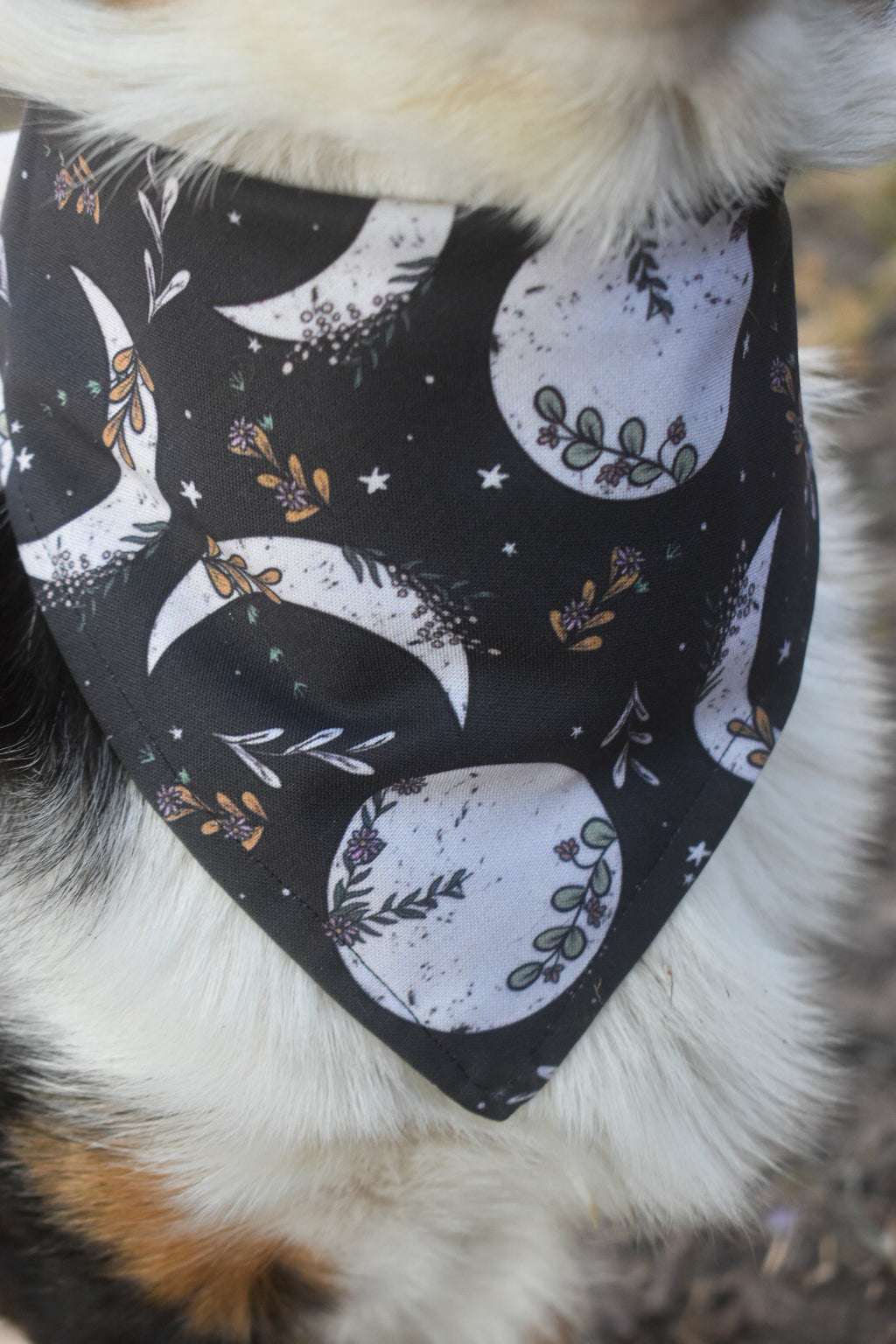 Moonchild Pet Bandana