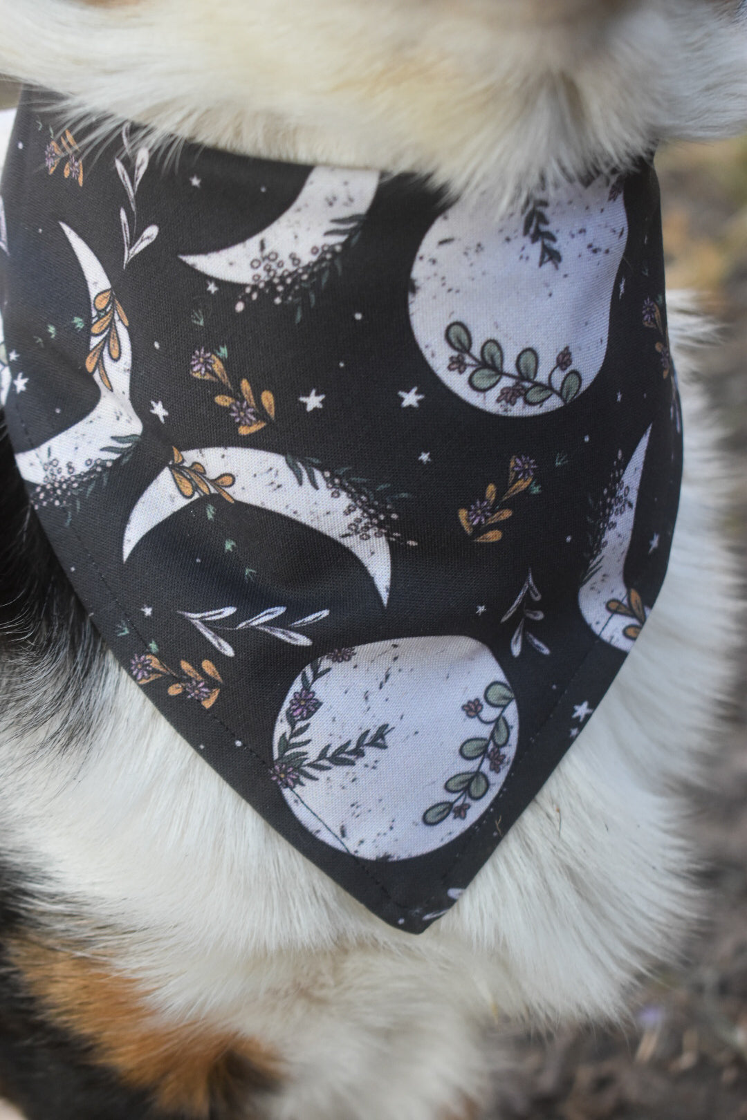 Moonchild Pet Bandana