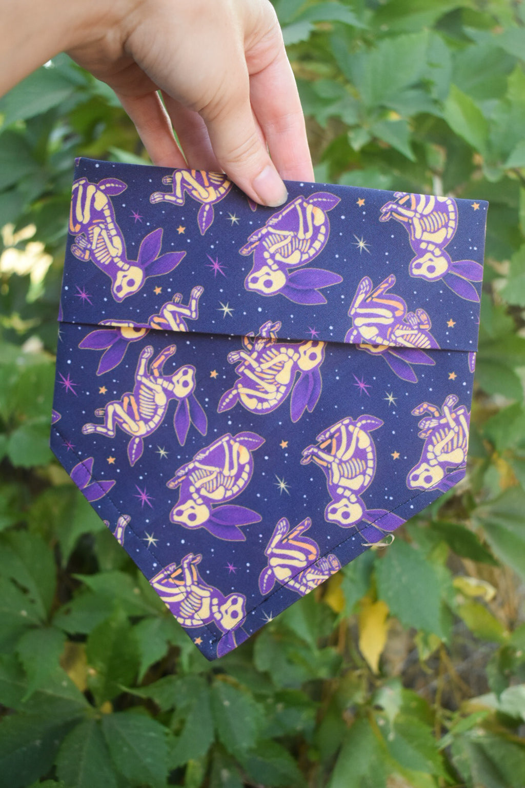 Hexed Hare Pet Bandana