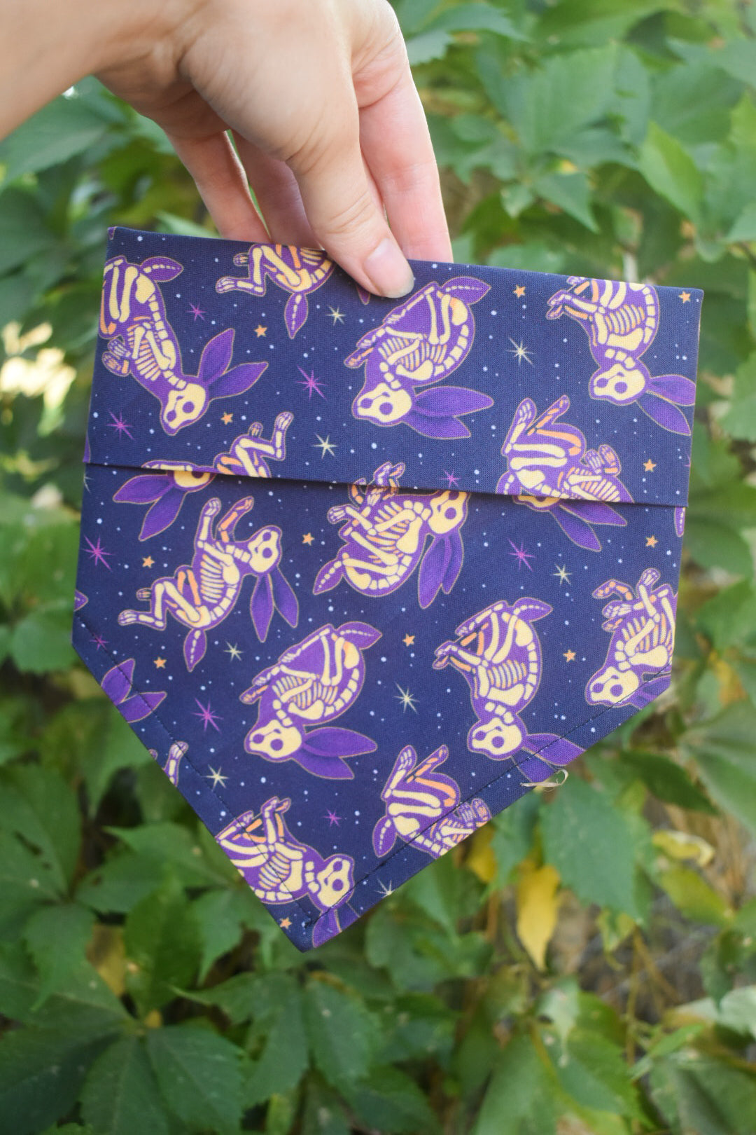 Hexed Hare Pet Bandana