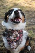 Enchanted Boneyard Pet Bandana