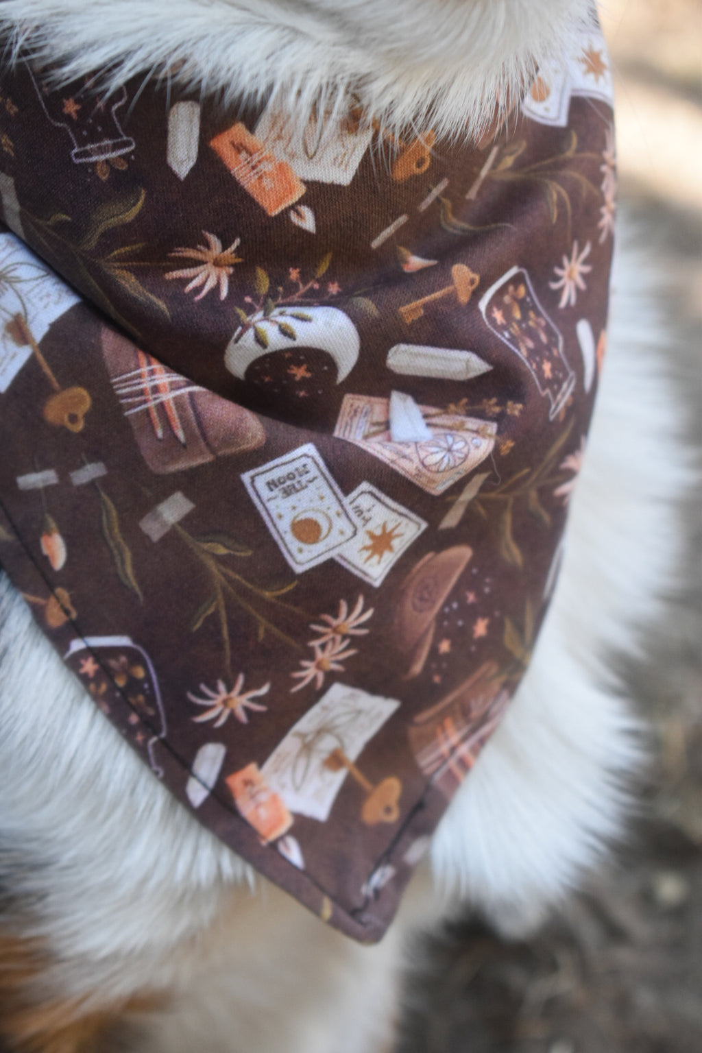Spellbound Pet Bandana