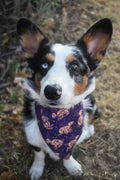 Hexed Hare Pet Bandana