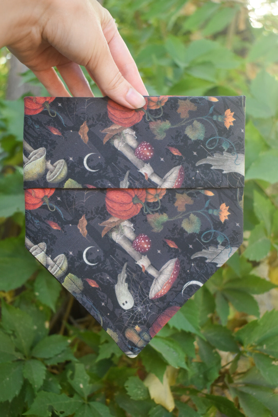 Haunted Harvest Pet Bandana